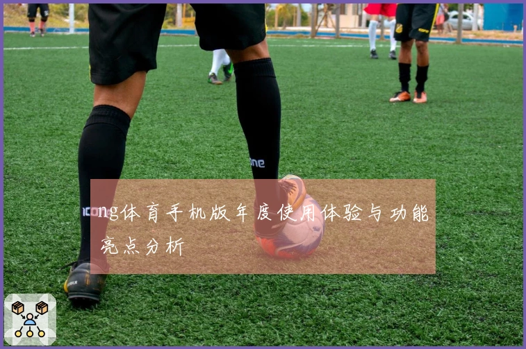 ng体育手机版年度使用体验与功能亮点分析