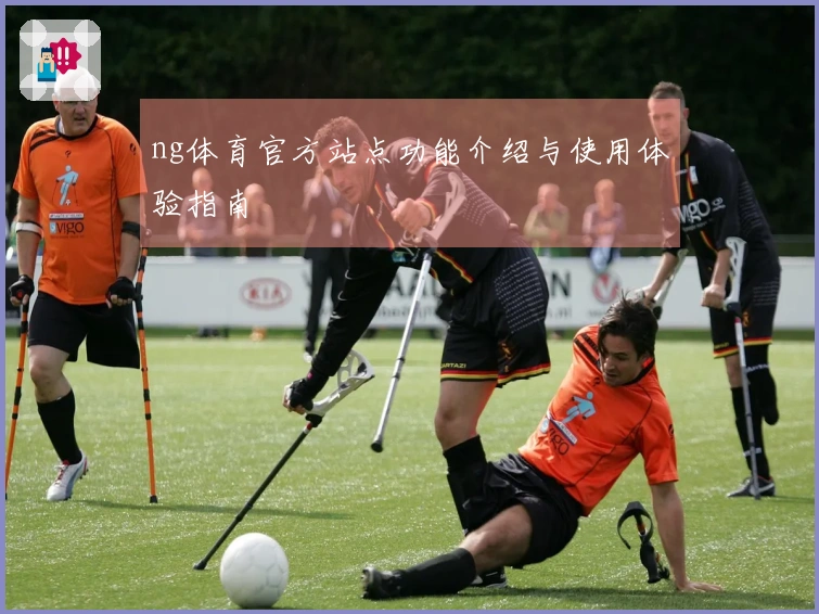 ng体育官方站点功能介绍与使用体验指南