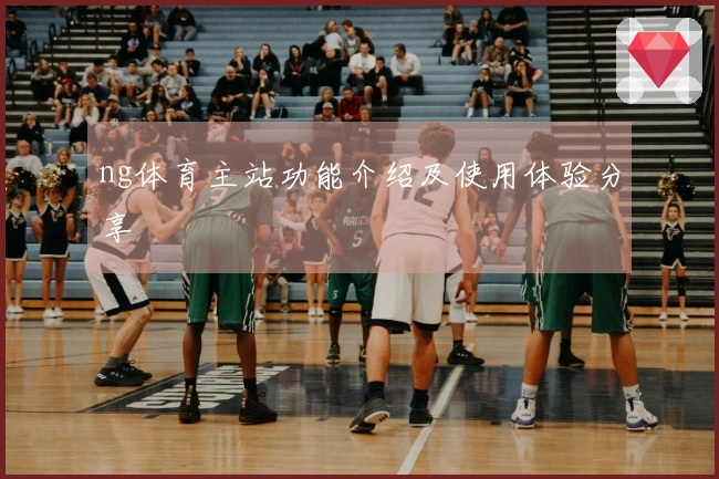 ng体育主站功能介绍及使用体验分享