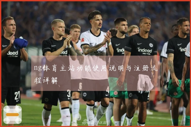 ng体育主站功能使用说明与注册流程详解